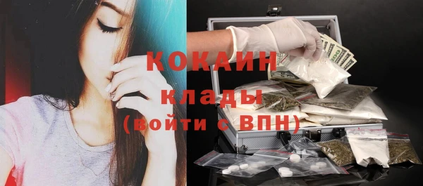 стафф Богданович