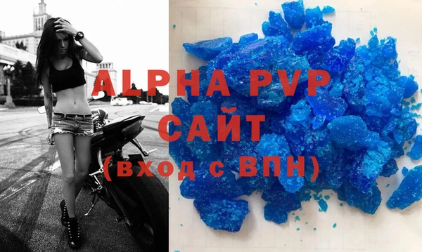 стафф Богданович