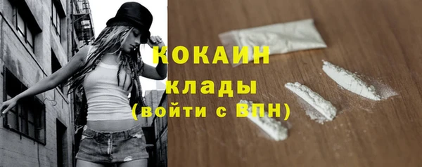 бошки Богородицк