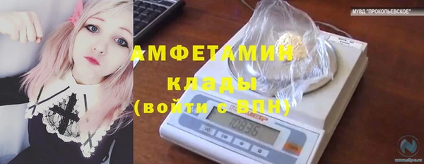стафф Богданович
