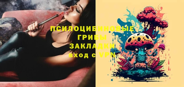 стафф Богданович