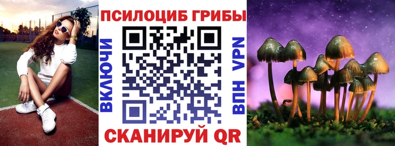 Псилоцибиновые грибы мицелий  закладки  Харабали 